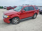 Ford Escape 2011