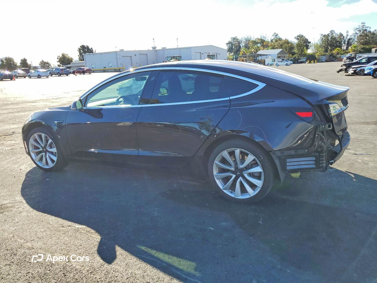 Tesla Model 3 2019