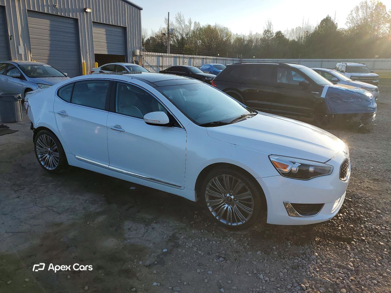 Kia Cadenza 2014