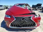 Lexus ES 2025