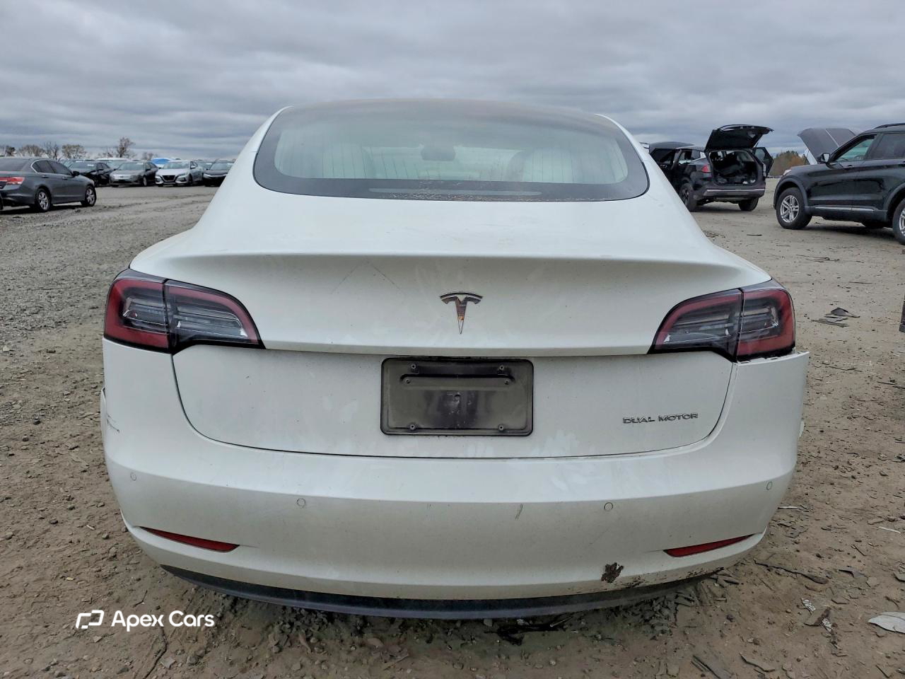 Tesla Model 3 2019