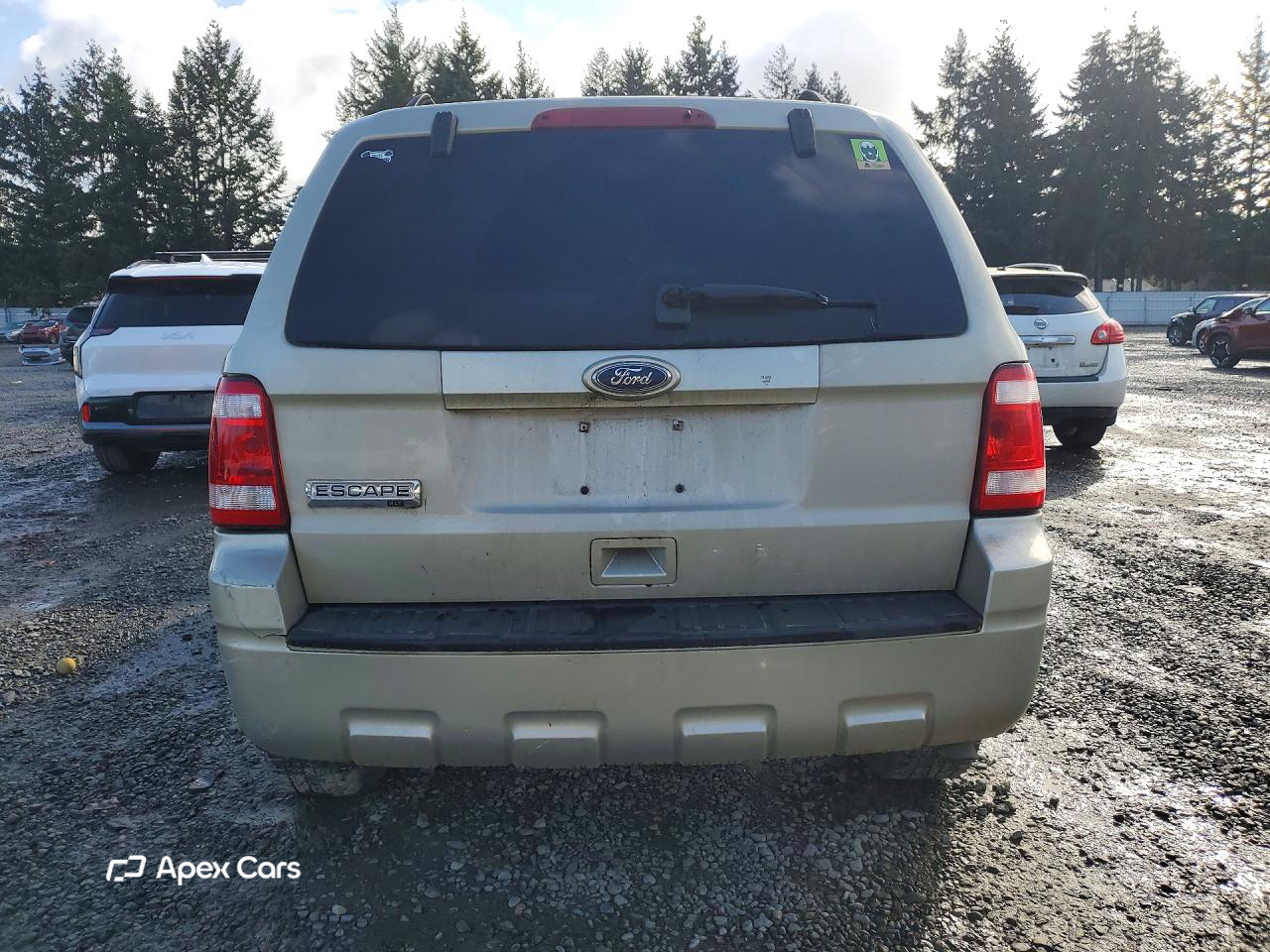 Ford Escape 2010