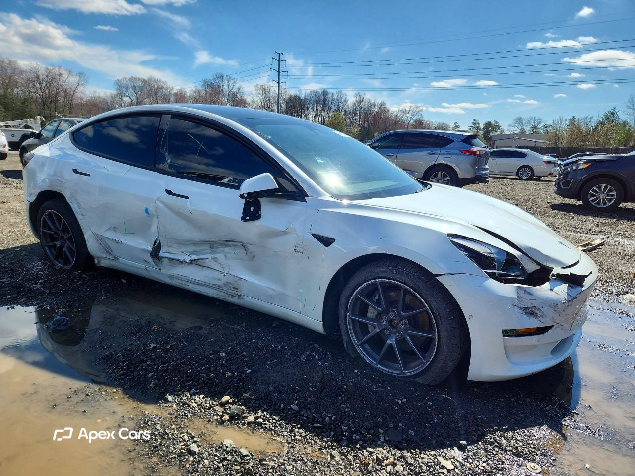 Tesla Model 3 2021
