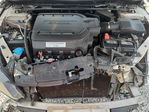 Honda Accord 2013
