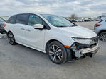 Honda Odyssey 2024