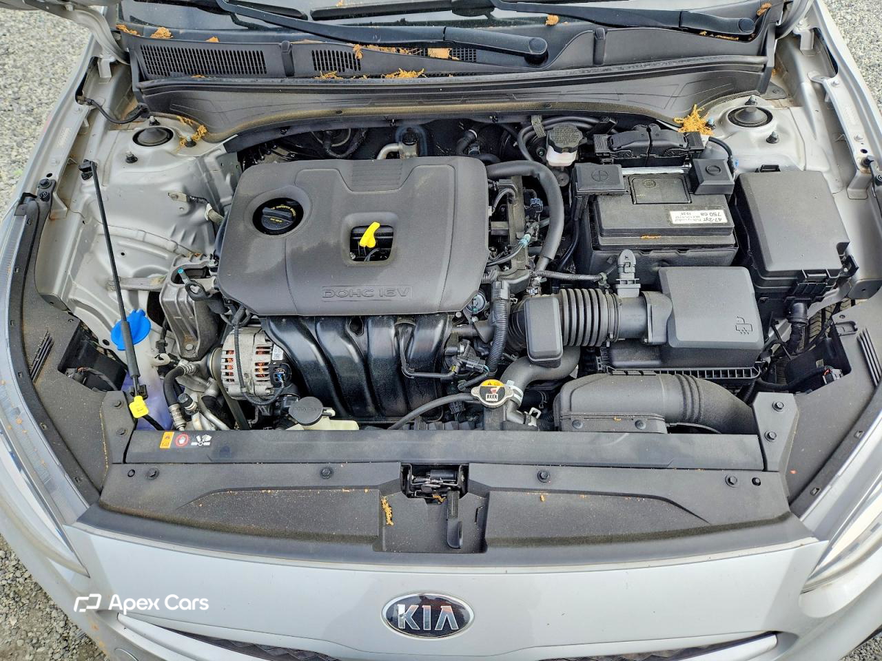 Kia Forte 2021