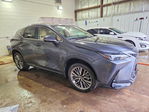 Lexus NX 2025