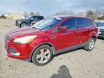 Ford Escape 2014