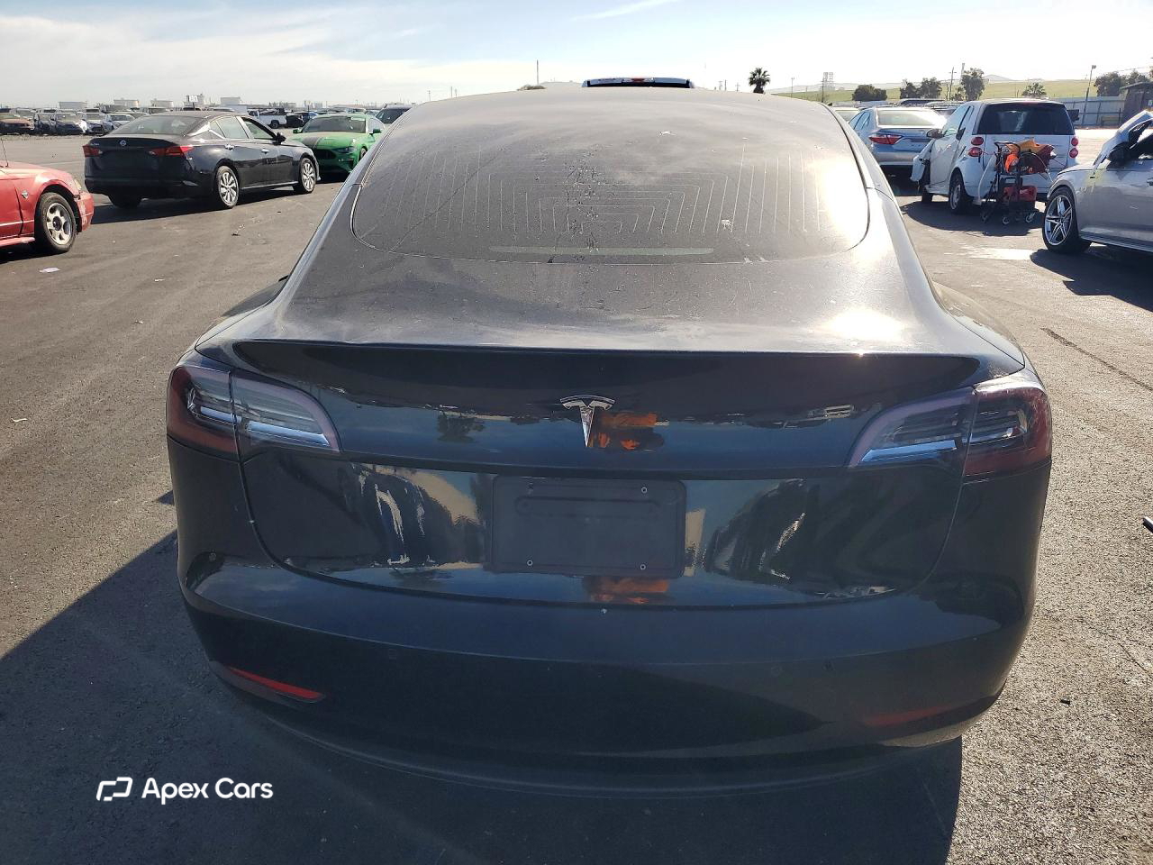 Tesla Model 3 2019