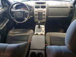 Ford Escape 2010