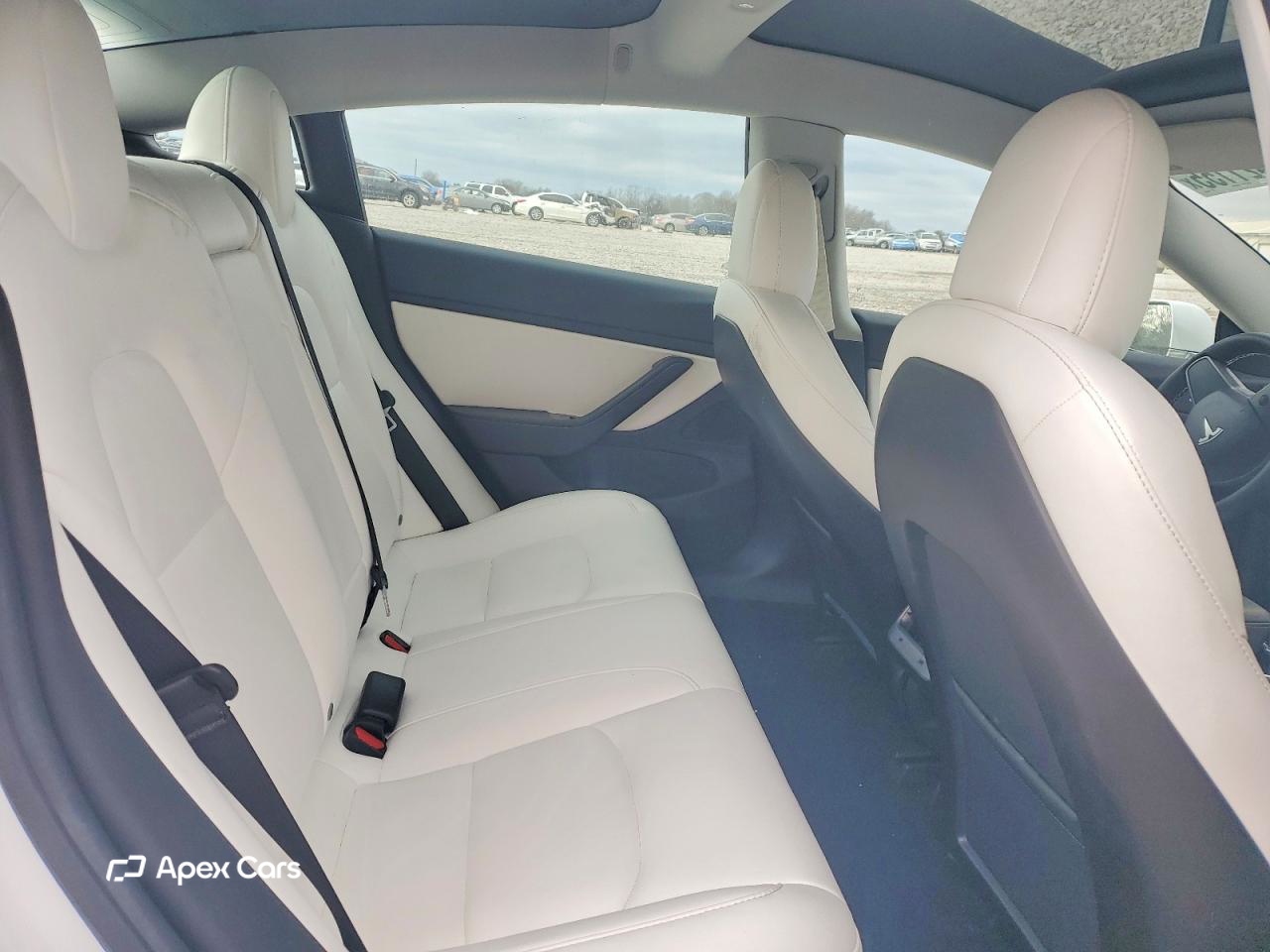 Tesla Model 3 2019
