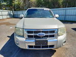 Ford Escape 2008