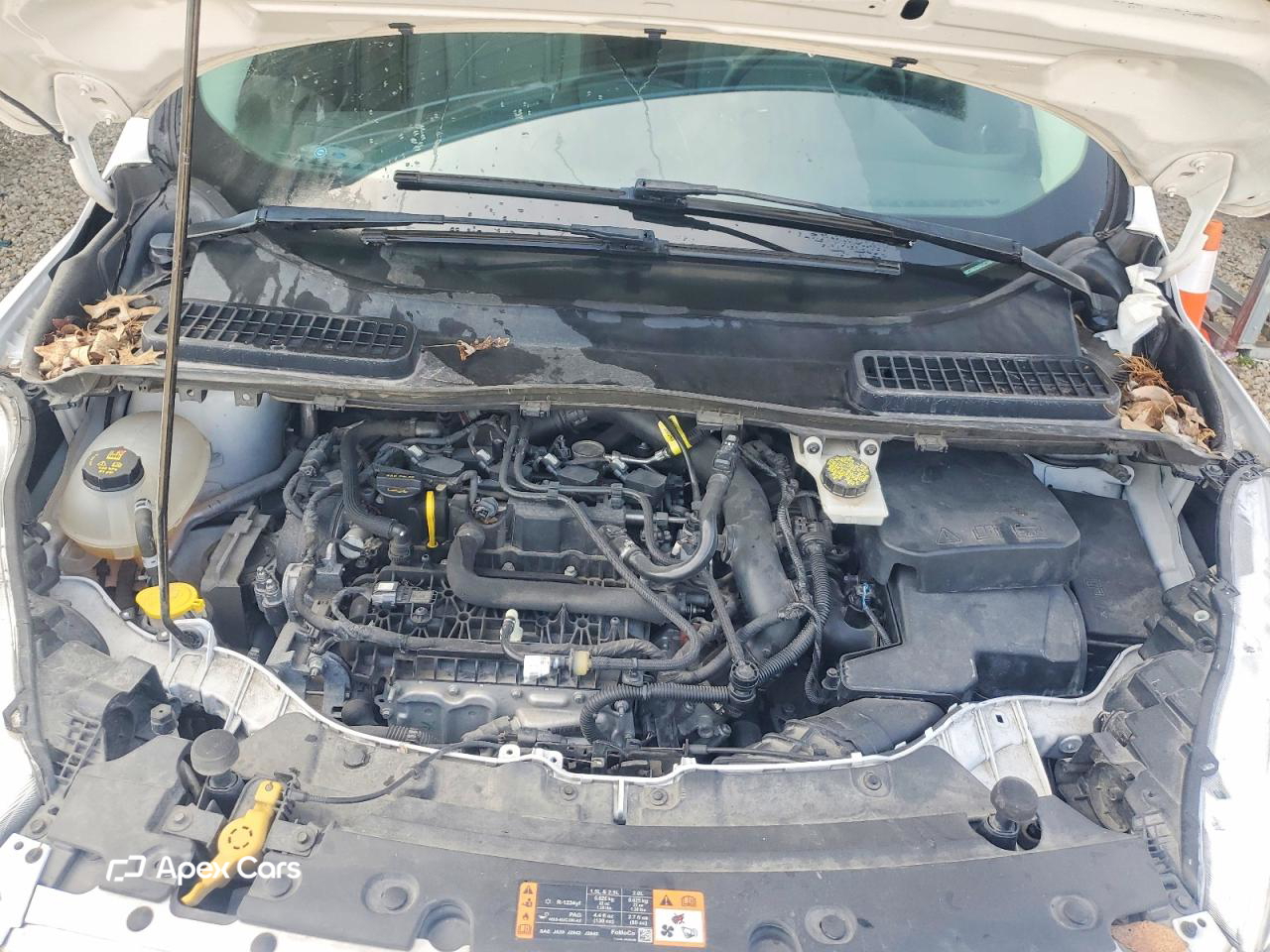 Ford Escape 2019