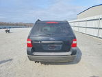 Ford Freestyle 2006
