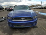 Ford Mustang 2014