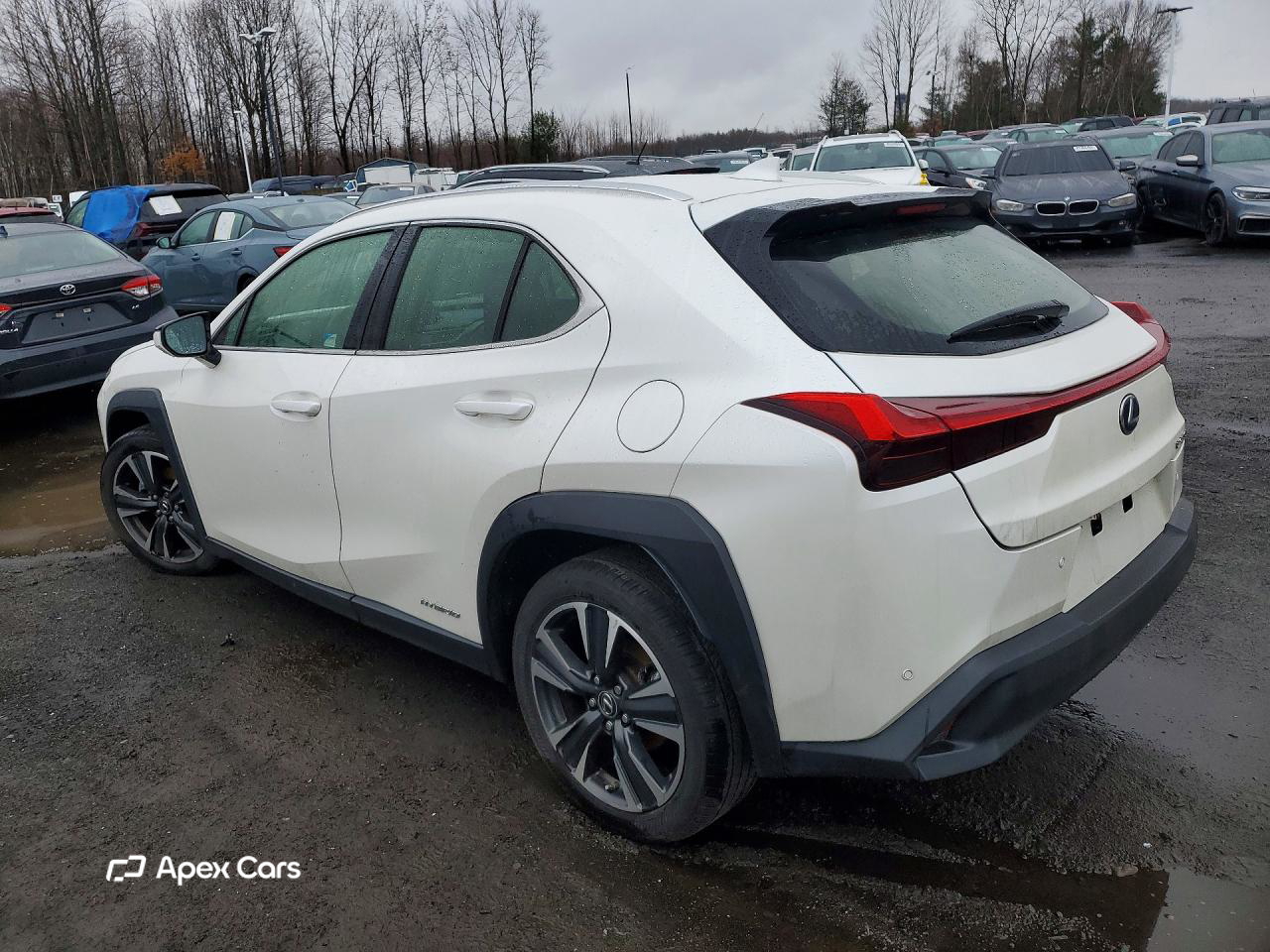 Lexus UX 2020