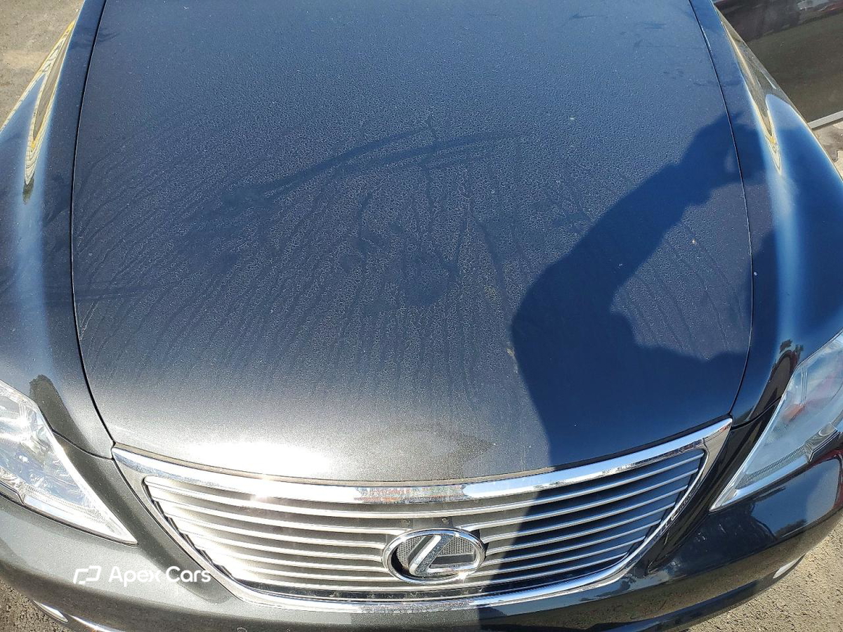 Lexus LS 2008