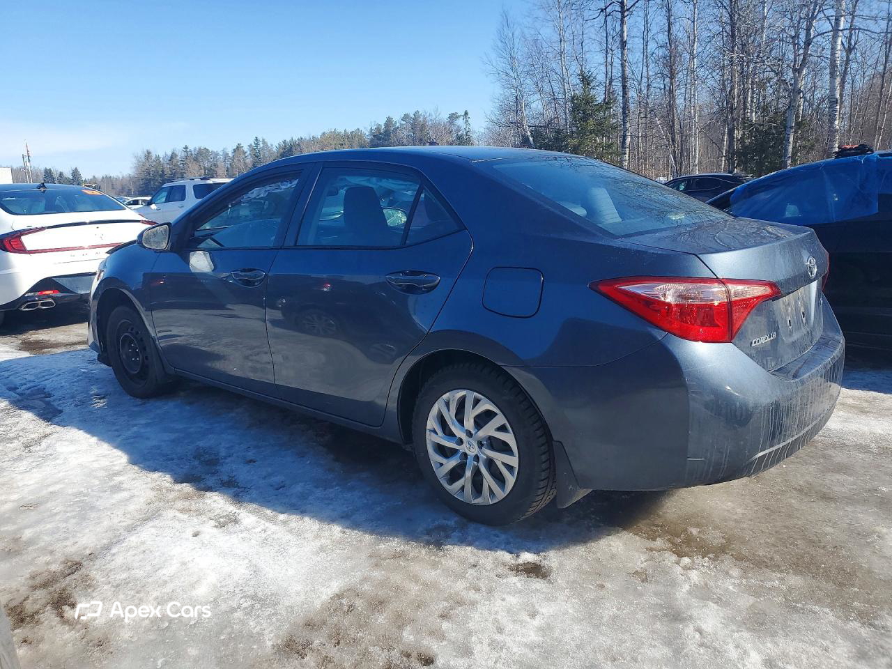 Toyota Corolla 2019