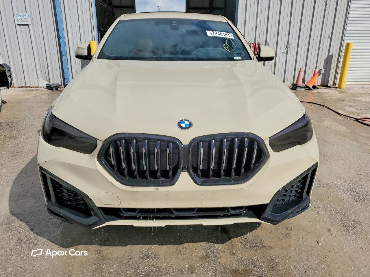 BMW X6 2022