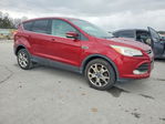 Ford Escape 2013