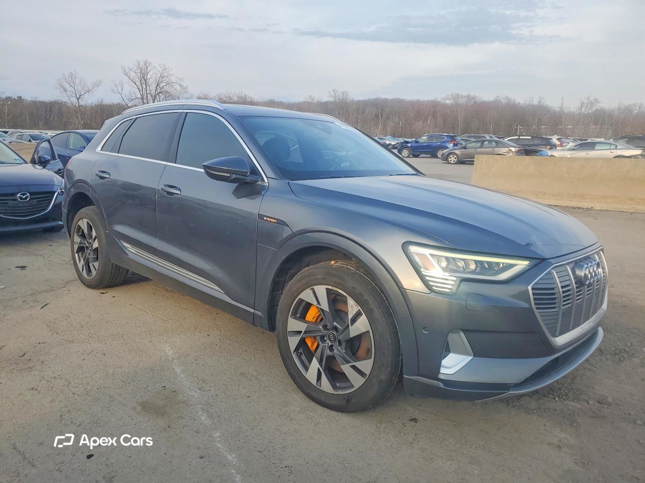 Audi e-tron 2019