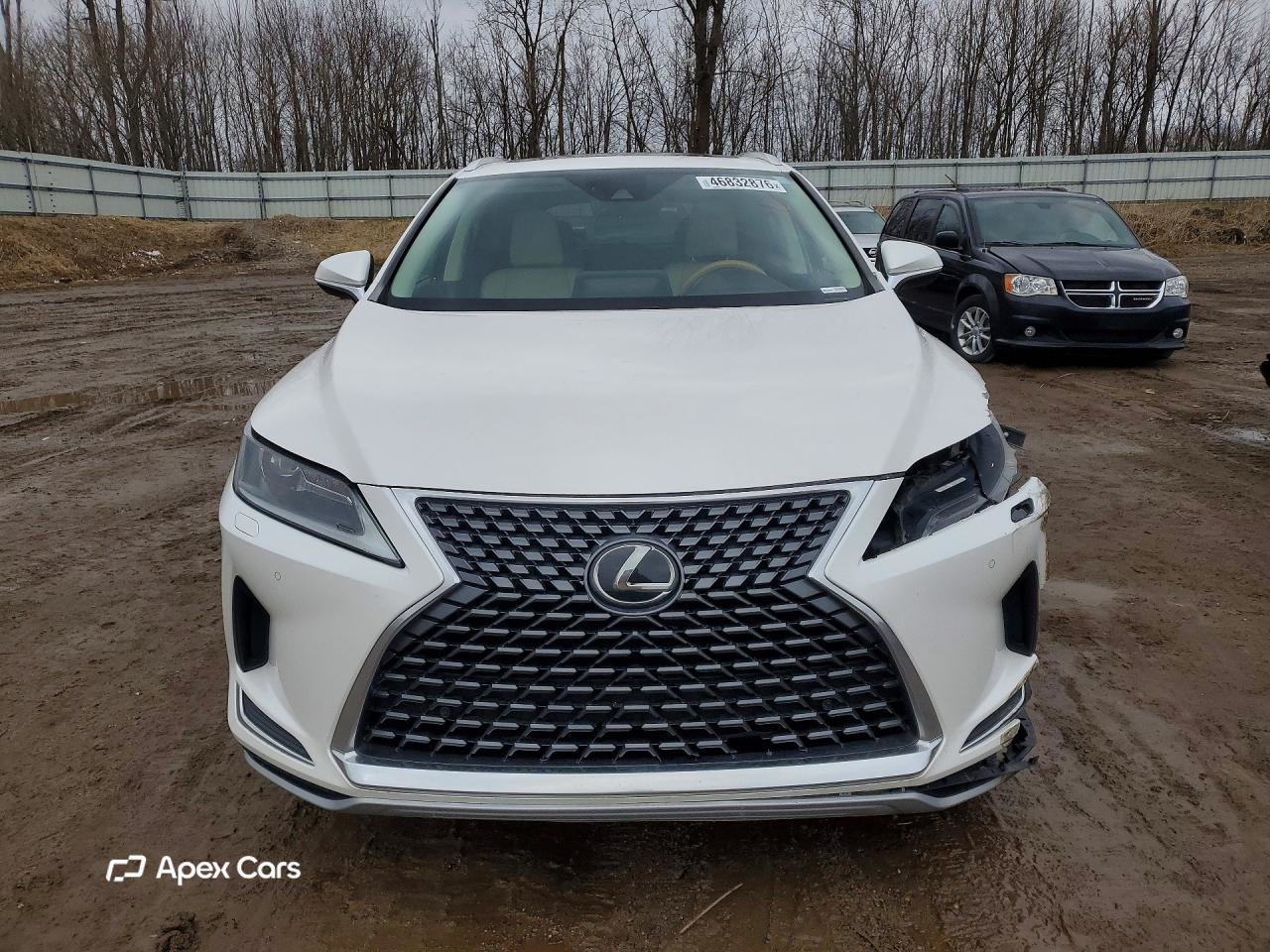 Lexus RX 2020