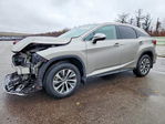 Lexus RX 2022