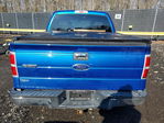 Ford  2009