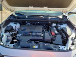 Toyota RAV 4 2025