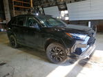 Toyota RAV 4 2024