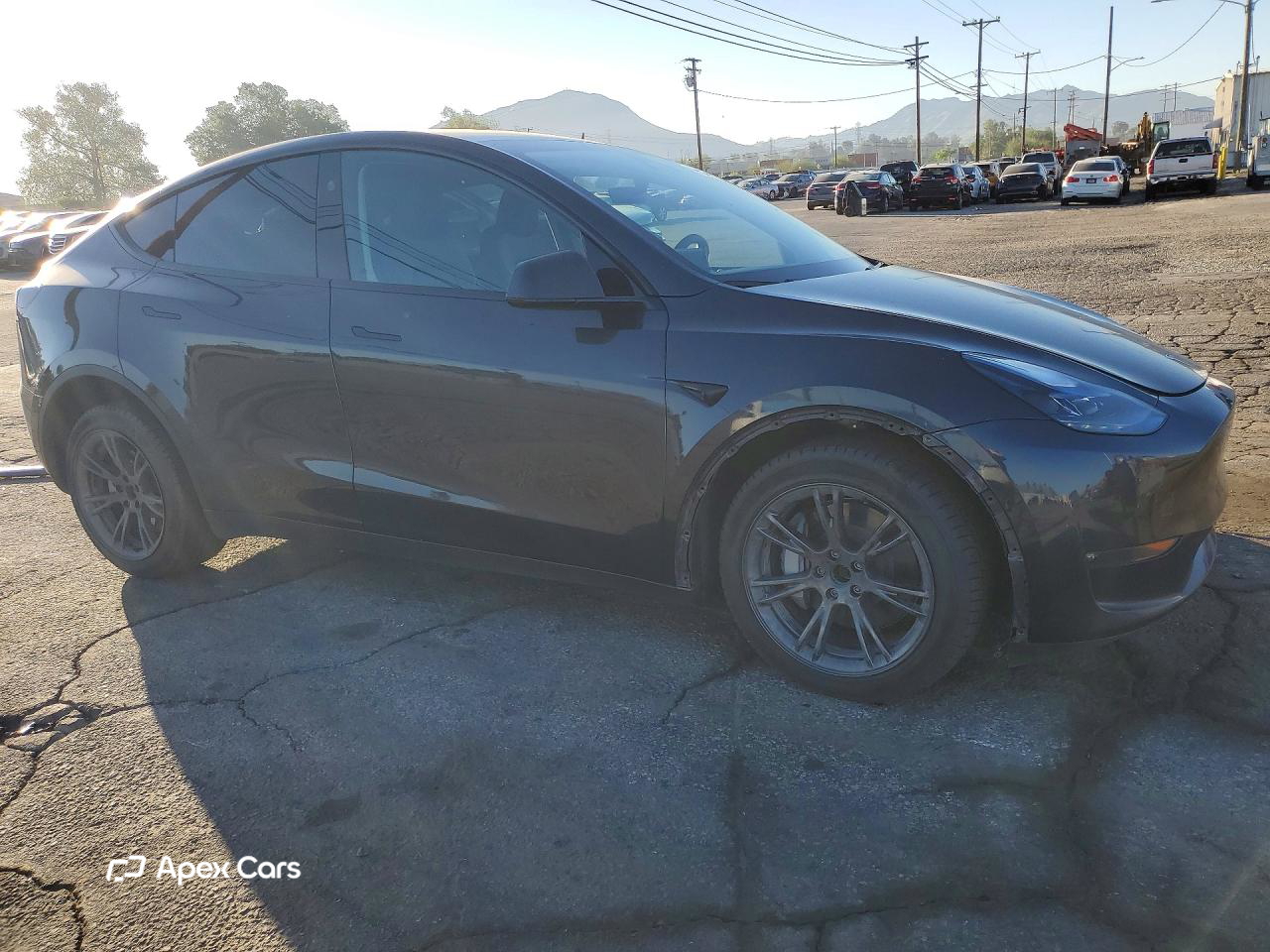 Tesla Model Y 2024