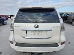 Lexus GX 2023