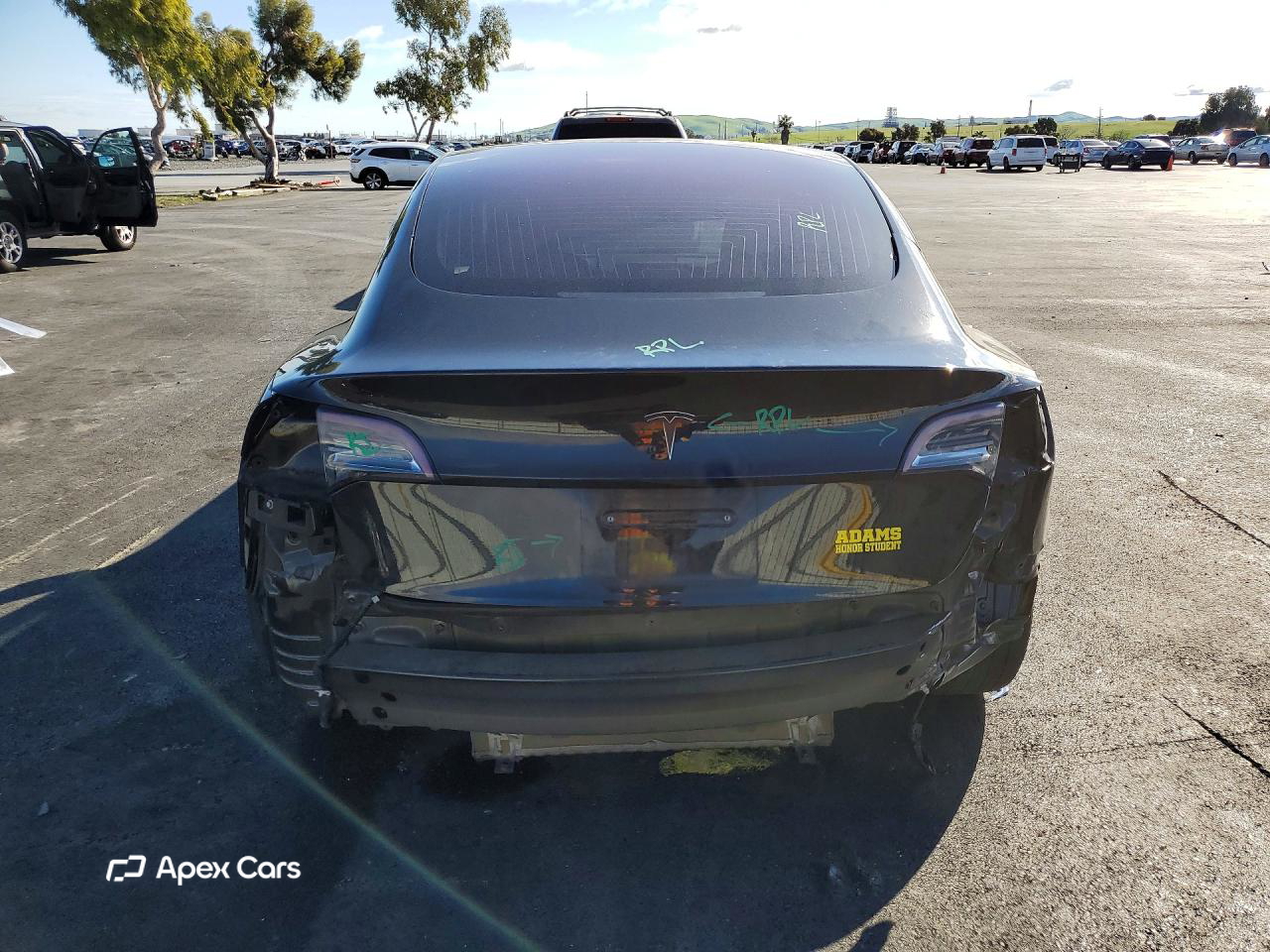 Tesla Model 3 2019