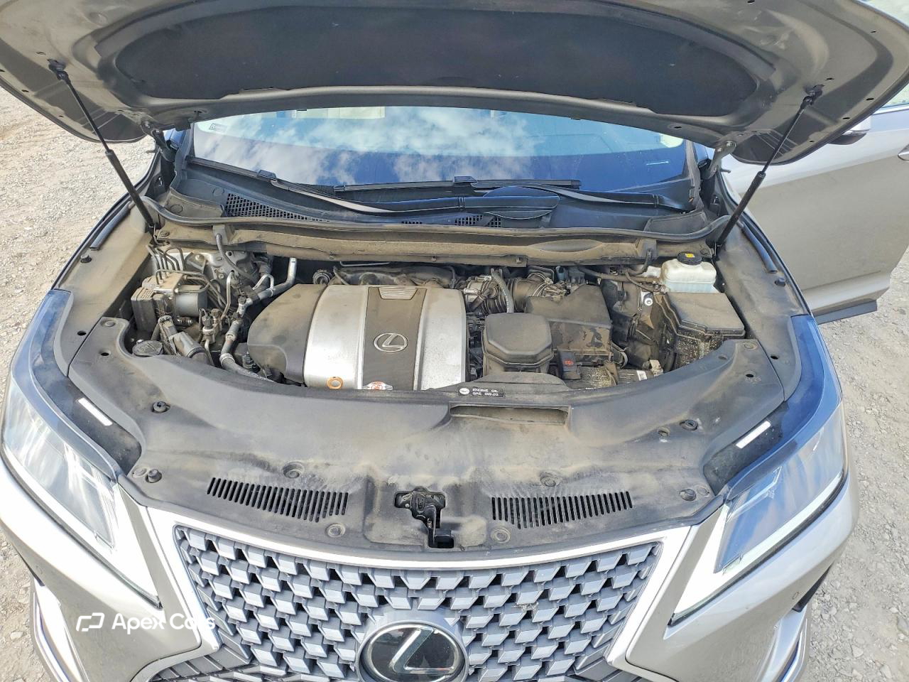 Lexus RX 2021