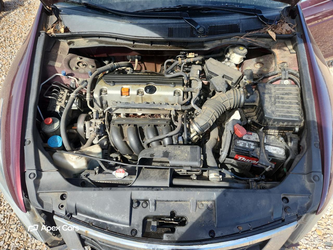 Honda Accord 2010