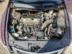 Honda Accord 2010
