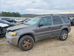 Ford Escape 2006
