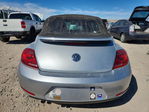 Volkswagen Beetle 2014