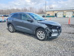 Ford Escape 2024