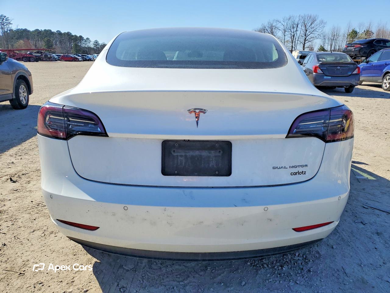 Tesla Model 3 2019
