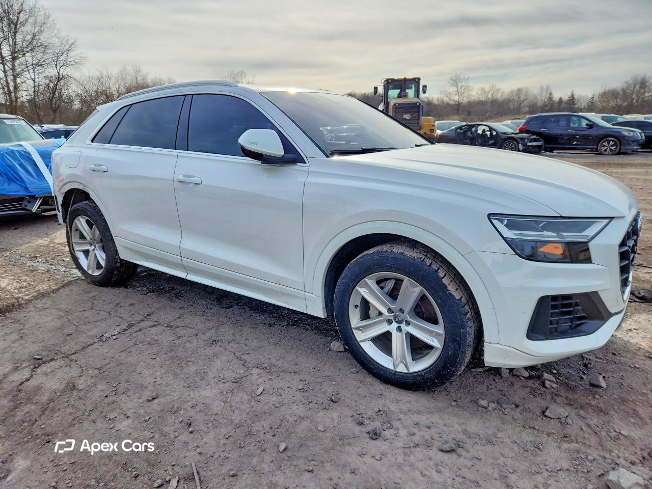 Audi Q8 2019