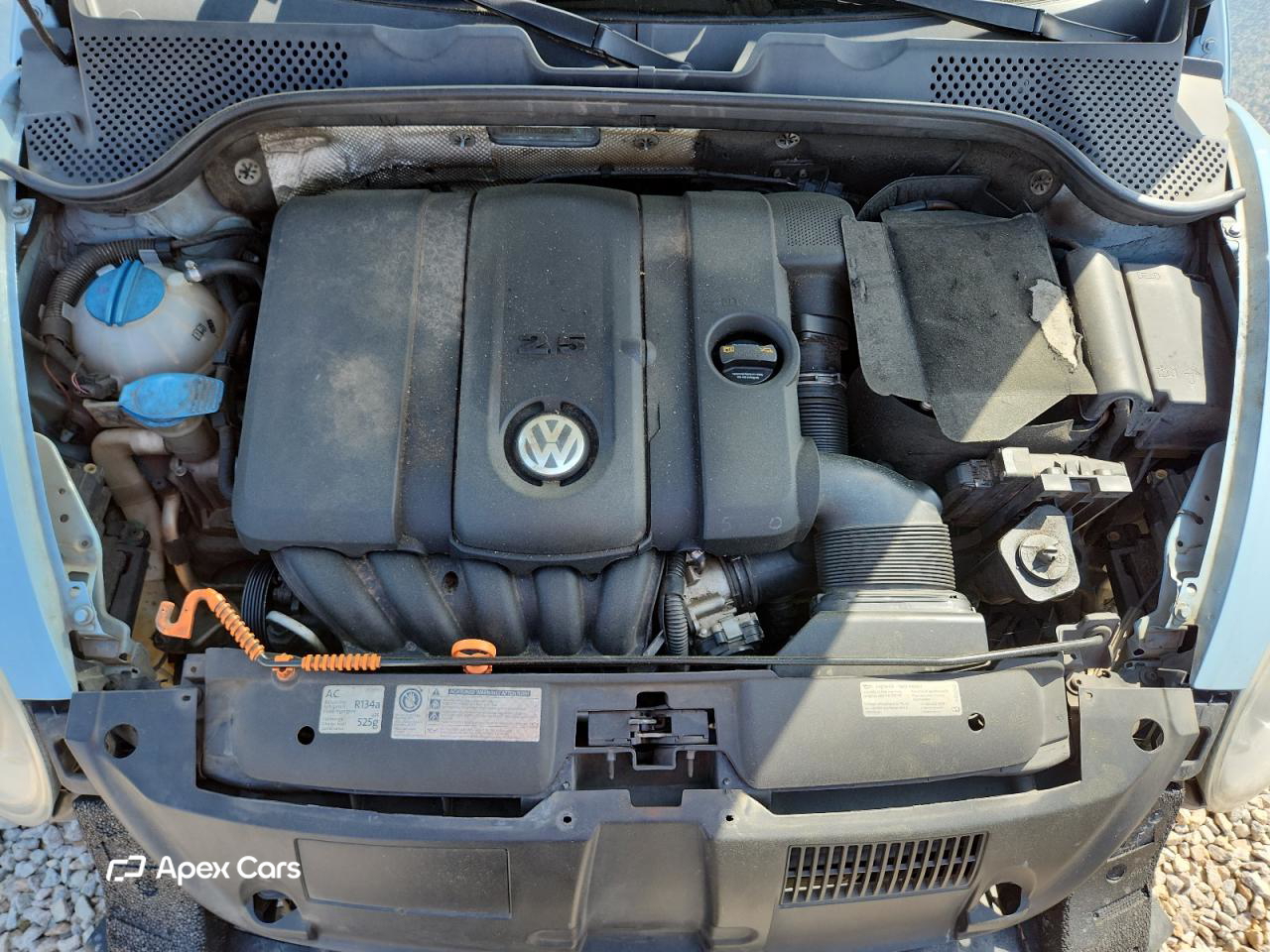 Volkswagen Beetle 2012