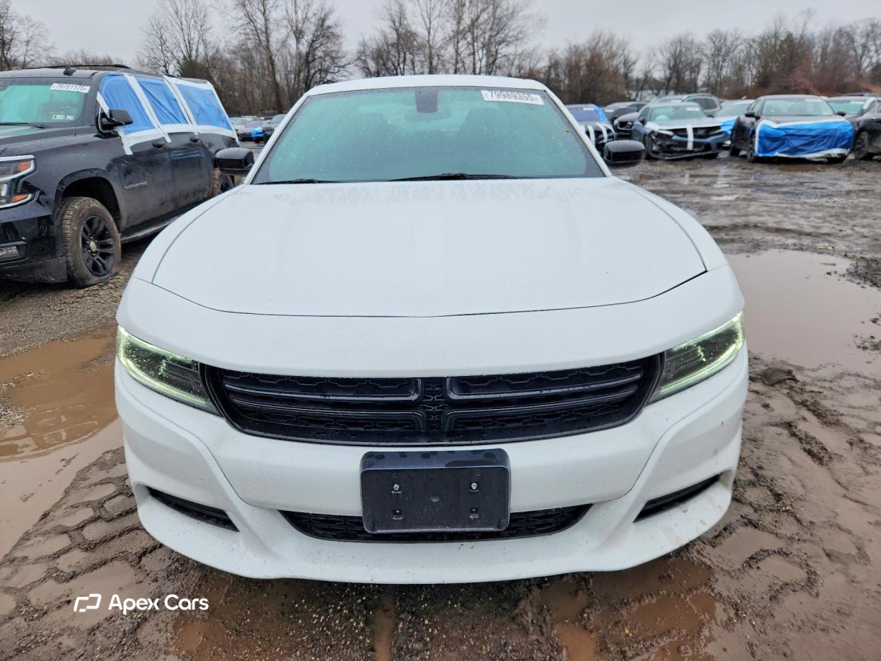 Dodge Charger 2023