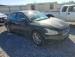 Nissan Maxima 2011