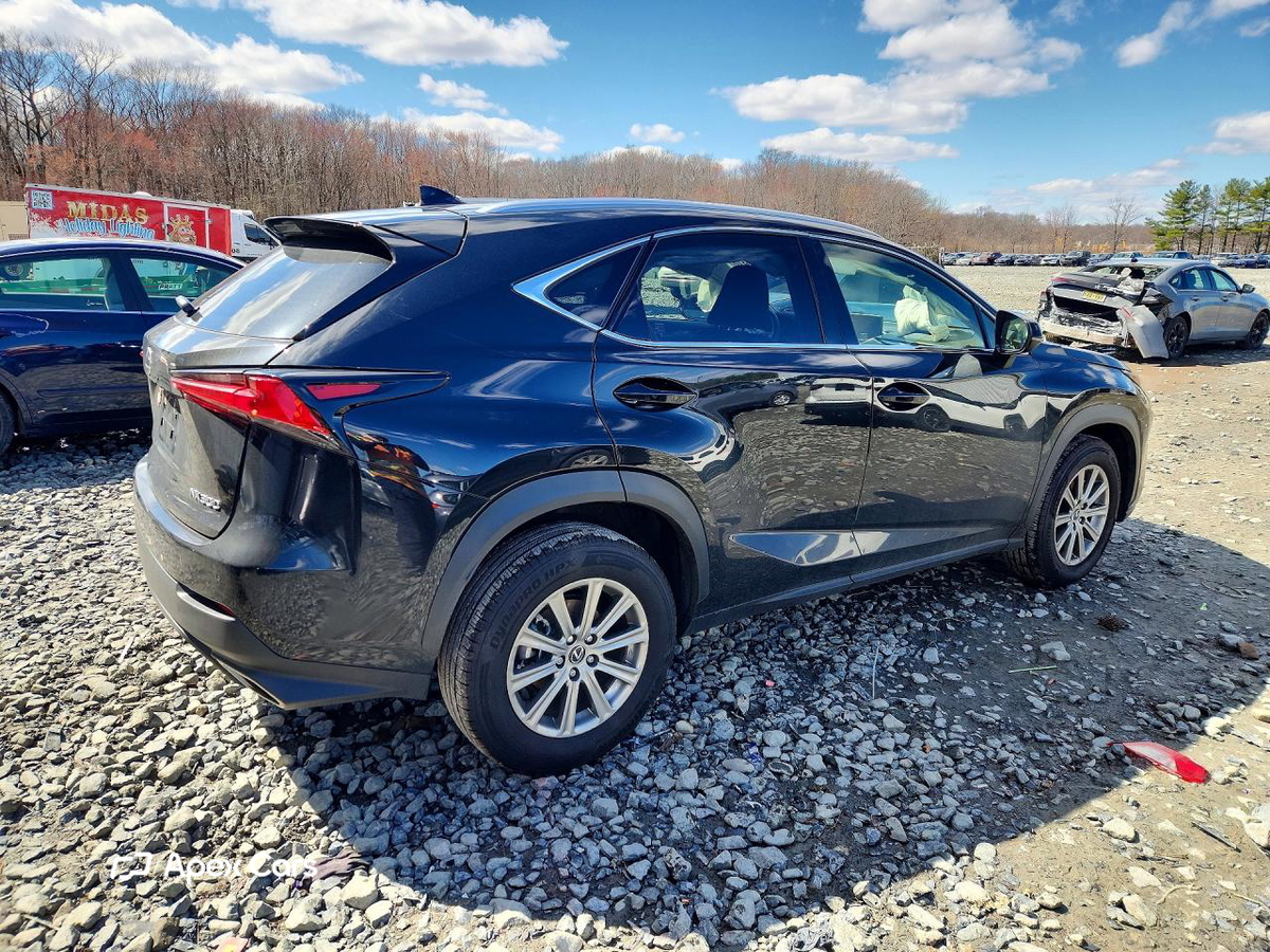 Lexus NX 2021