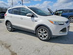 Ford Escape 2016