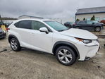 Lexus NX 2017