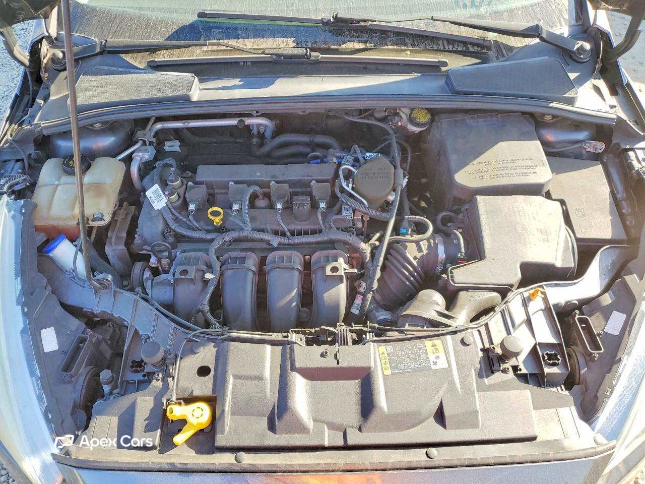 Ford Focus 2015