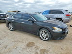 Nissan Maxima 2011