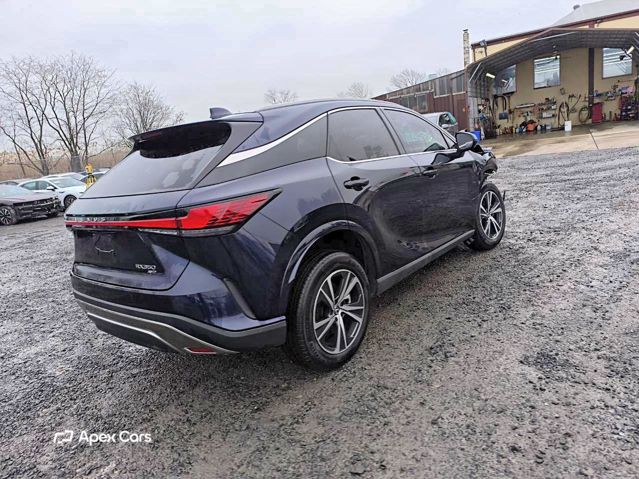 Lexus RX 2024